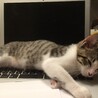 若かりし頃