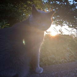 我が家は美形揃い（親バカ発動中）