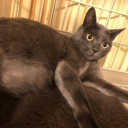 「我が家は美形揃い（親バカ発動中）」サムネイル2