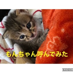 「我が家は美形揃い（親バカ発動中）」サムネイル3