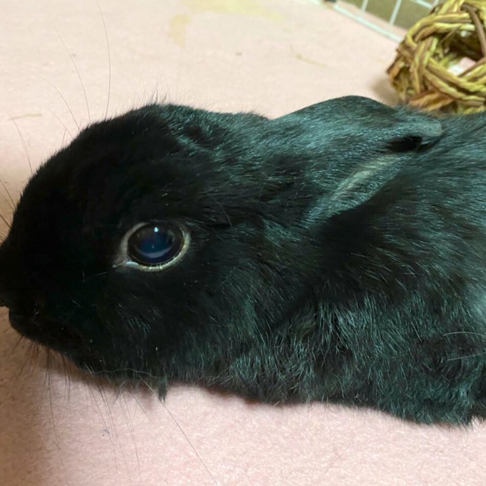 タクト君のカバー写真