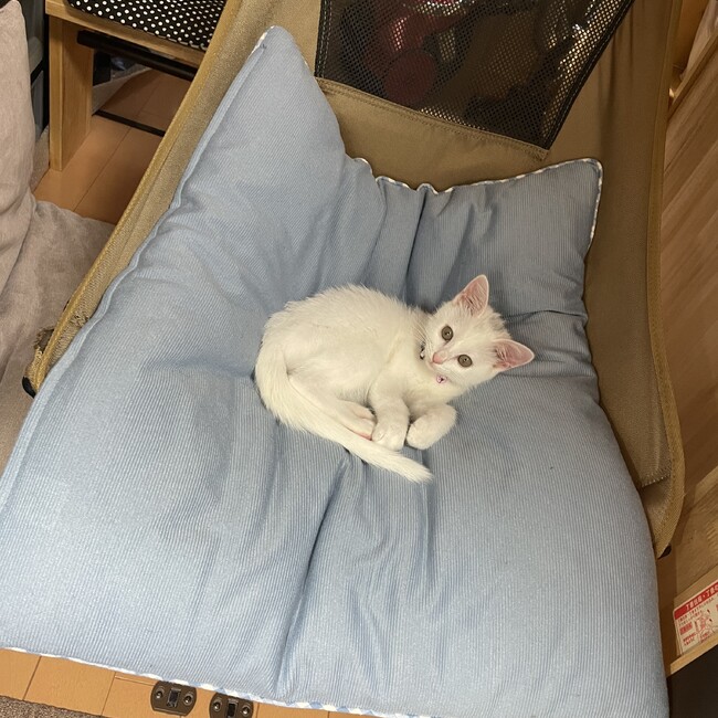 拓89のカバー写真