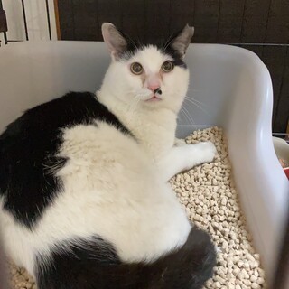 穏やか癒し系男子☆お兄ちゃん