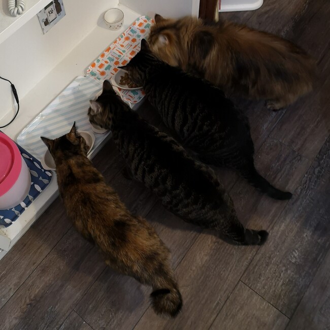 がぁさやのカバー写真