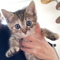 姉妹一緒にෆ⃛「チョロミーちゃん」