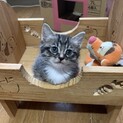 白靴下がかわいい男の子
