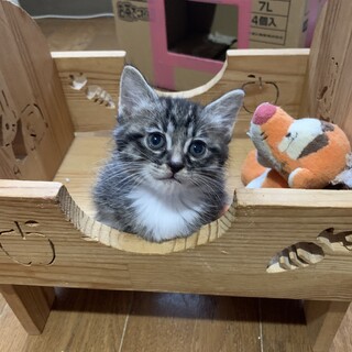 白靴下がかわいい男の子