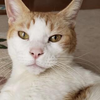 【みー】募集を終了しました。