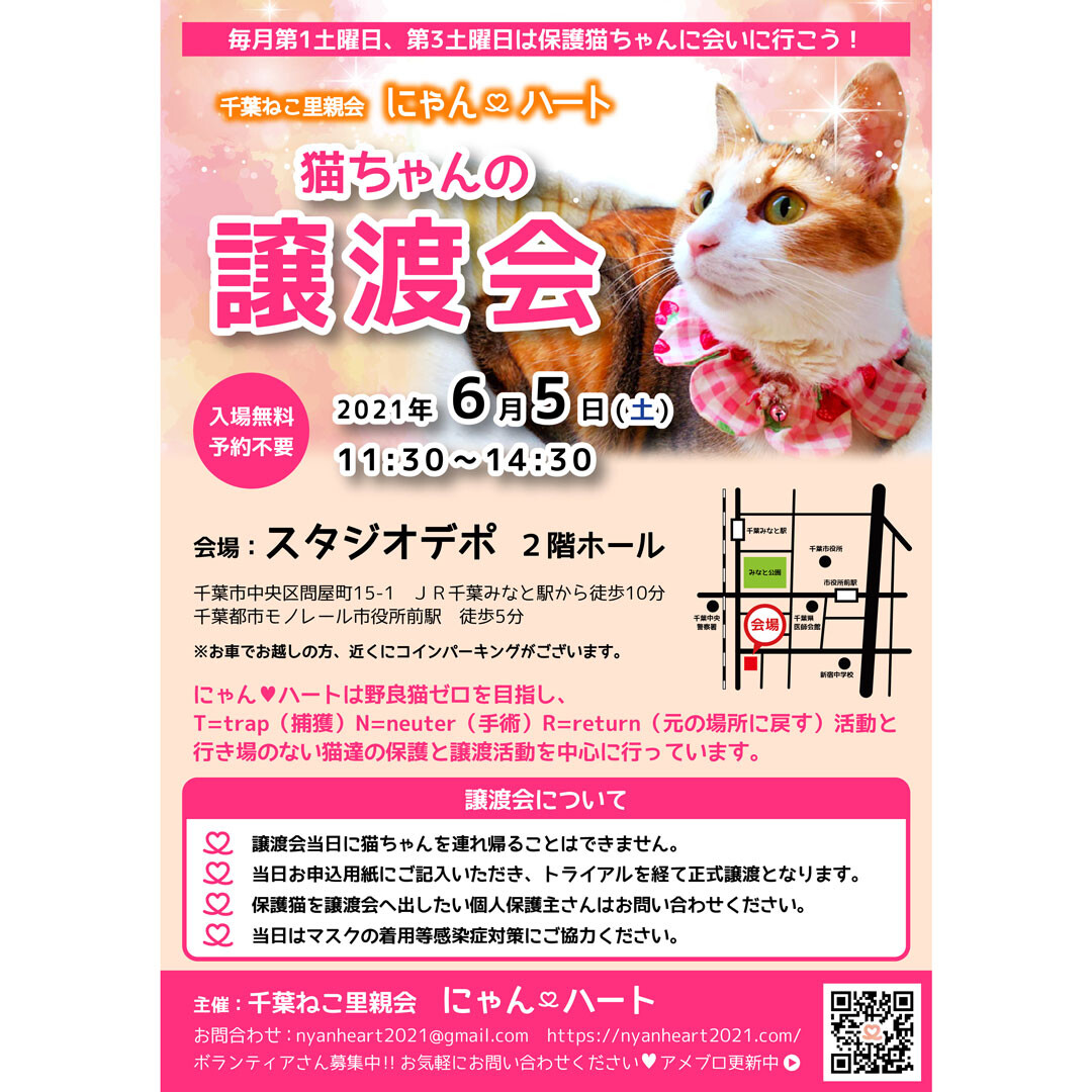 6 5 千葉ねこ里親会に 千葉ねこ里親会 にゃんハートのイベント 12372 ペットのおうち 月間利用者150万人