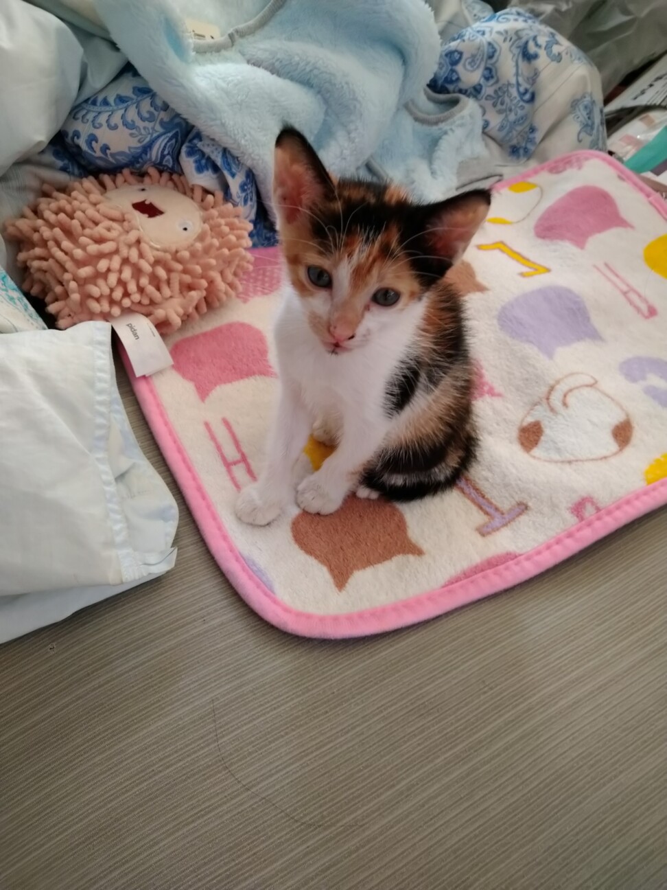 マロン