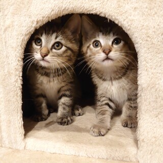 仲良し兄弟一緒にお願いします！