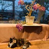 お花見❤️