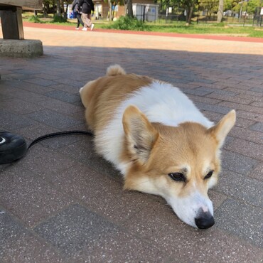 の写真