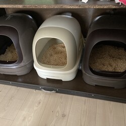 ユズコさん、工事はまだ途中ですが…