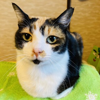 最高のパートナーになってください