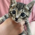素敵な里親さんが見つかりました