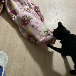 てっちゃん、母ちゃん寝よう！