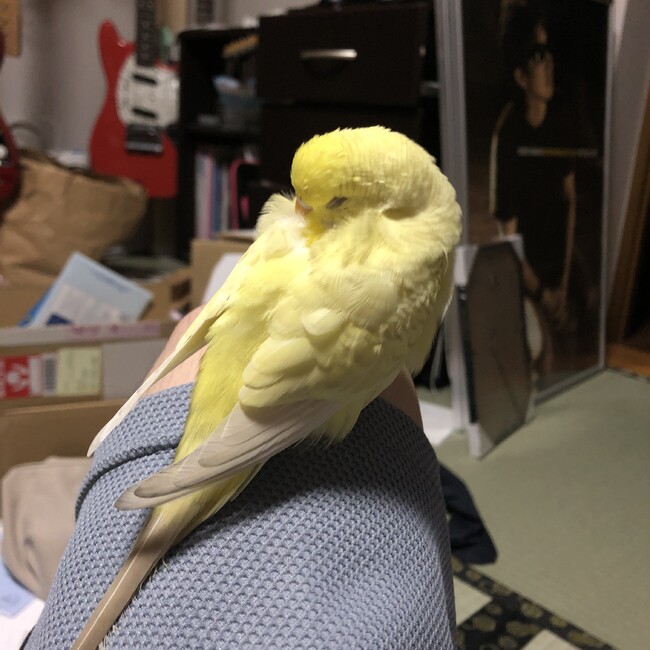 uiharuのカバー写真
