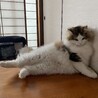 足がピーン