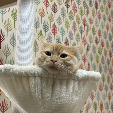 の写真