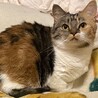 の写真