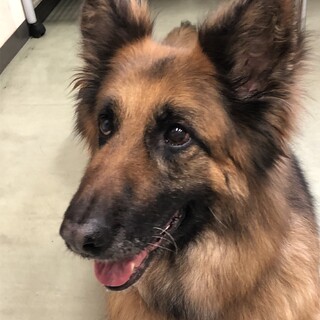 たくさんの温かいお気持ちありがとうございます。