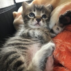 中々寝なくなって来た