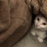 優しさの塊『菅田』 サムネイル2