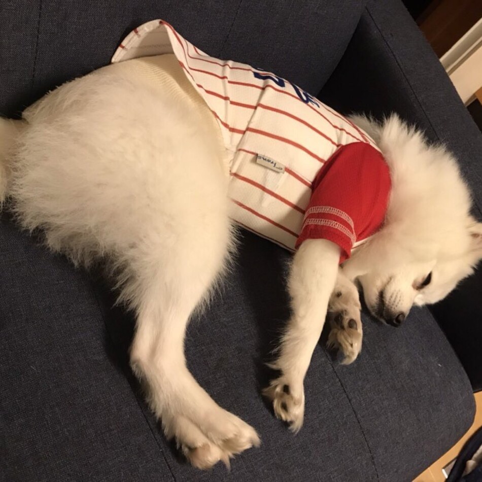 すーちゃん❣️のカバー写真