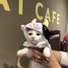優しさの塊『菅田』 サムネイル4