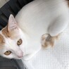 優しさの塊『菅田』 サムネイル5