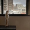 優しさの塊『菅田』 サムネイル6