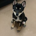 よろしくお願いいたします