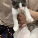 【タリーズ】おかげさまで里親様が決まりました。