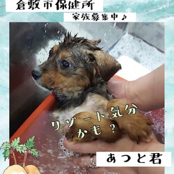 「2021年6月3日の倉敷→全頭譲渡決定！」サムネイル1