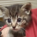 お目メぱっちり