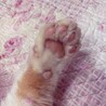 もっちゃん♡