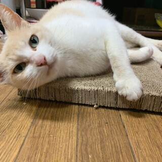 人が好き☆女の子