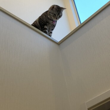 お気に入りの場所