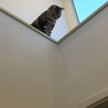 お気に入りの場所