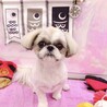 ぷりんふくさん