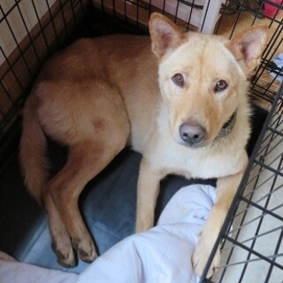 身体は大きく心優しい♡ソウタくん