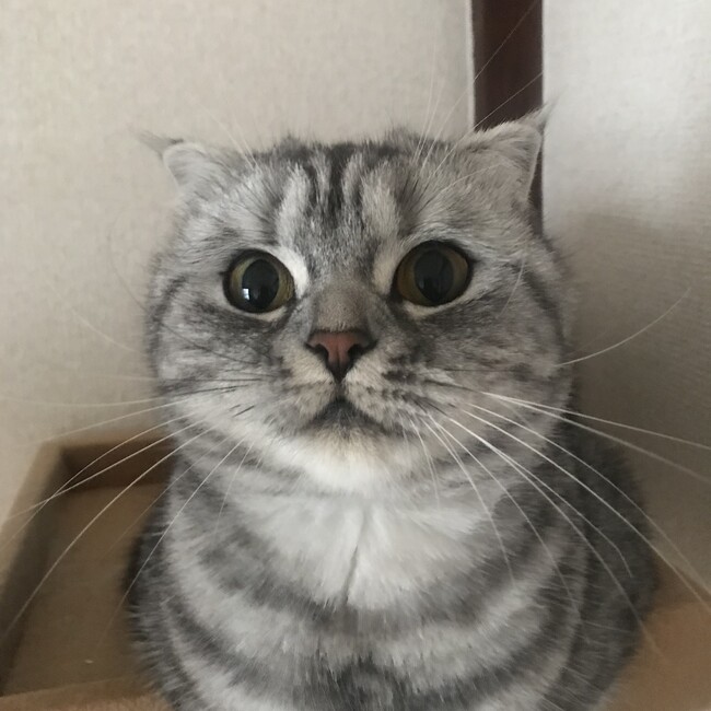 柏木悠司のカバー写真