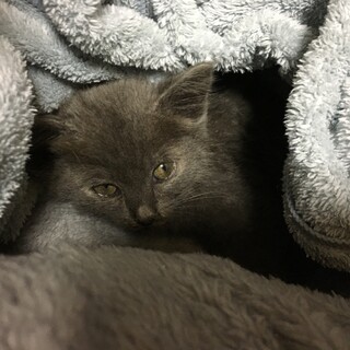 【素敵なご縁がありました】