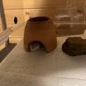 レオパ　ハイイエロー成体　