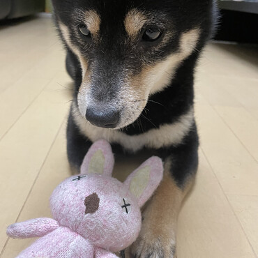 の写真
