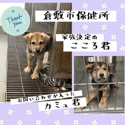 「2021年6月4日の倉敷→全頭譲渡決定！」サムネイル1