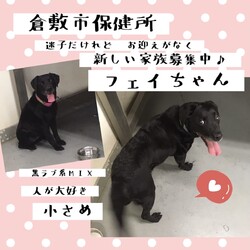 「2021年6月4日の倉敷→全頭譲渡決定！」サムネイル3