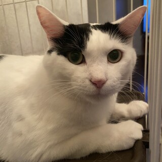 甘えん坊のあっくん