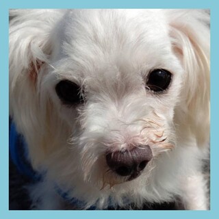 頑張って生きてきた健気な男の子